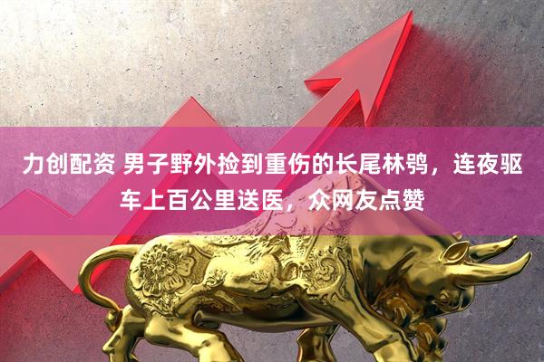 力创配资 男子野外捡到重伤的长尾林鸮，连夜驱车上百公里送医，众网友点赞