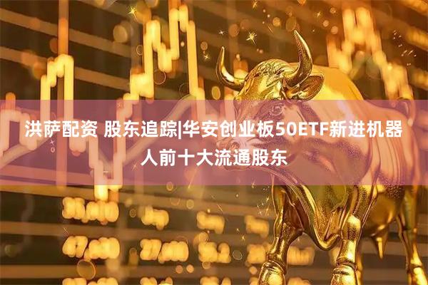 洪萨配资 股东追踪|华安创业板50ETF新进机器人前十大流通股东