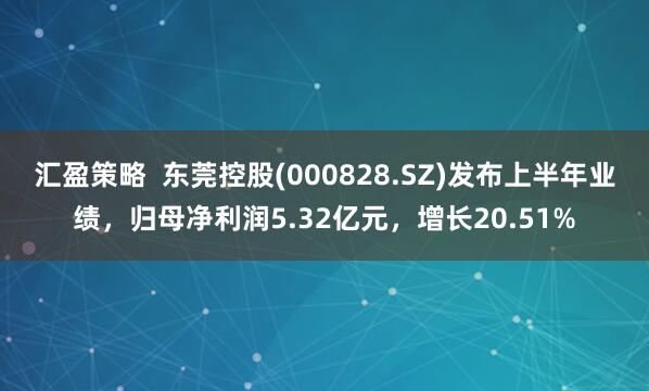 汇盈策略  东莞控股(000828.SZ)发布上半年业绩，归母净利润5.32亿元，增长20.51%