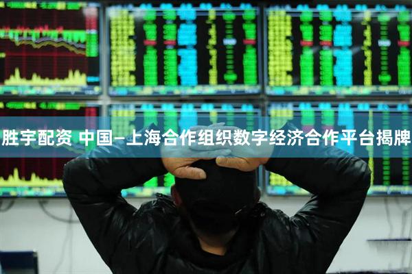 胜宇配资 中国—上海合作组织数字经济合作平台揭牌