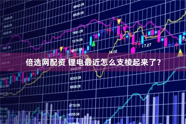 倍选网配资 锂电最近怎么支棱起来了？