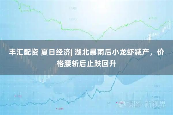 丰汇配资 夏日经济| 湖北暴雨后小龙虾减产，价格腰斩后止跌回升